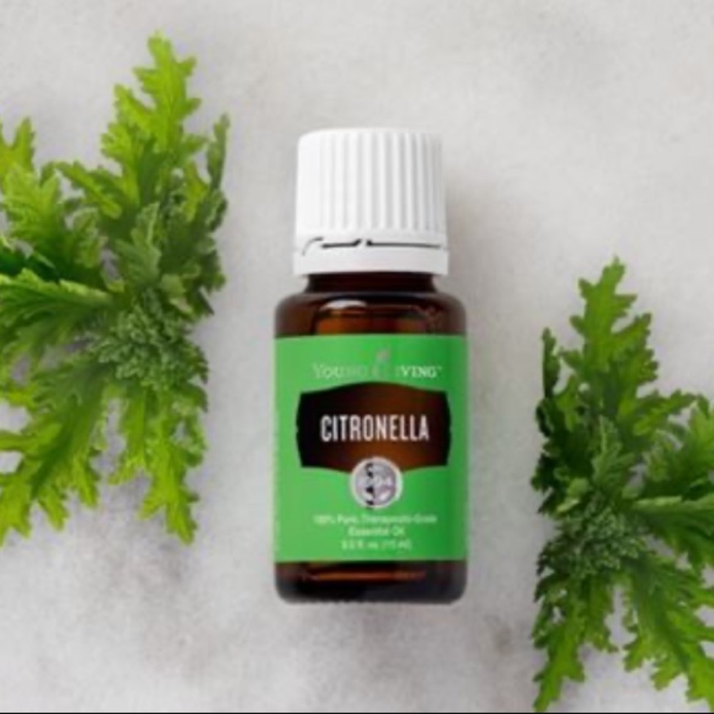 Citronella Young Living essential oil 15ml